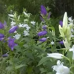 Horská chata / Moekki, Unique Summer *