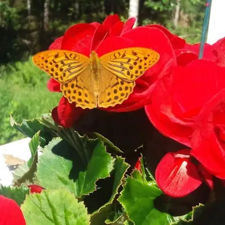 / Moekki, Unique Summer Σαλέ Vihti