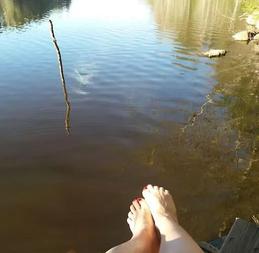 Шале / Moekki, Unique Summer