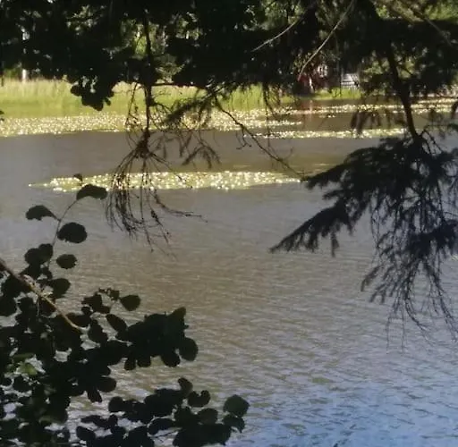 Шале / Moekki, Unique Summer *