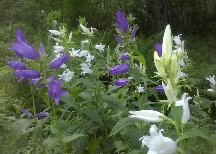 샬레 / Moekki, Unique Summer